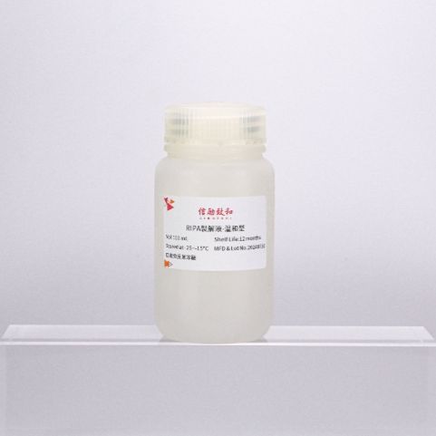 RIPA裂解液-温和型