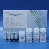 超微量细胞DNA /RNA提取试剂（磁珠法）