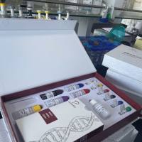 Duck Plague Virus(DPV)鸭瘟病毒探针法荧光定量PCR试剂盒