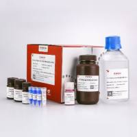 Tricine-PAGE小分子蛋白电泳套装(10%)-10T