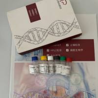 Capillaria obsignata封闭毛细线虫探针法荧光定量PCR试剂盒