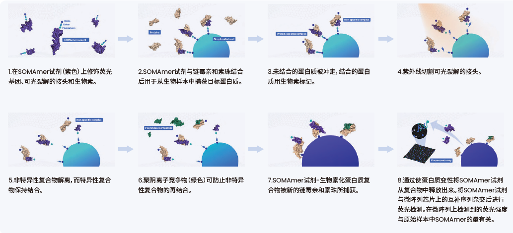 SomaScan Assay 新一代高通量多重蛋白组学研究平