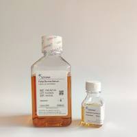 SERANA 胎牛血清 (Fetal Bovine Serum）