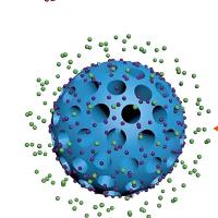 pH响应性的磷酸钙(CaP)和儿茶酚修饰的介孔聚多巴胺纳米颗粒(MPDA NPs)包载TNF-α-siRNA