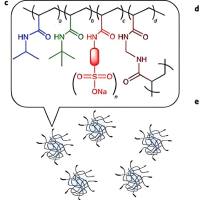 包载多烯紫杉醇的磷脂聚乙二醇（DSPE-PEG）胶束被对羟基苯甲酸p-HA修饰