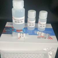 腺病毒(AD)包装服务