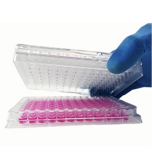 细胞能量代谢系统-Resipher