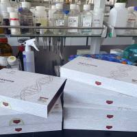 Hepatitis B Virus(HBV)乙型肝炎病毒H型探针法荧光定量PCR试剂盒