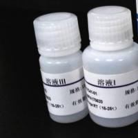 猪瘟病毒阻断ELISA 抗体检测试剂盒