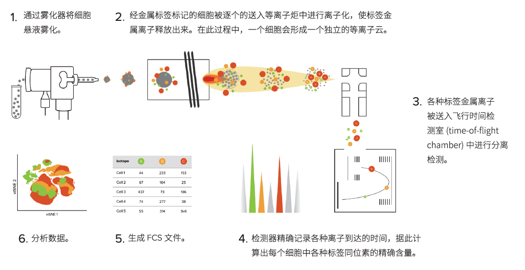 产品细节图片1