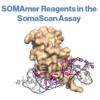 SomaScan Assay 新一代高通量多重蛋白组学研究平台