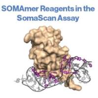 SomaScan Assay 新一代高通量多重蛋白组学研究平台