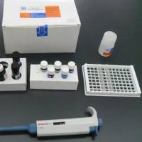 猪口蹄疫病毒O型抗体检测试剂盒ELISA