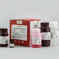 一步法PAGE凝胶快速配制试剂盒(12%)