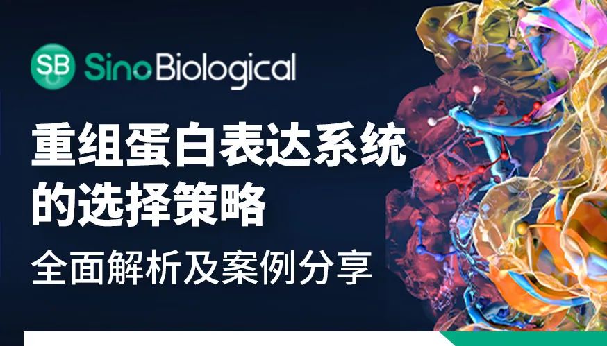 【2025开年第一讲】高质量重组表达系统选择全攻略