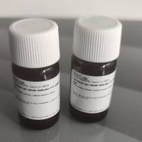 慢病毒（Lentiviral）包装技术服务