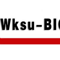 基因合成载体定制服务