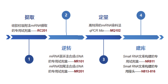 miRNA实验解决方案（操作手册）---第一章：miRNA简介
