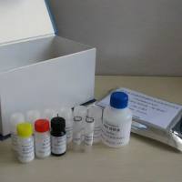 猪繁殖与呼吸综合征病毒抗体检测试剂盒