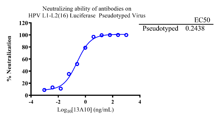 HPV疫苗开发的必备利器