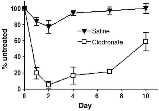 巨噬细胞清除小课堂 | 第三课:肺部