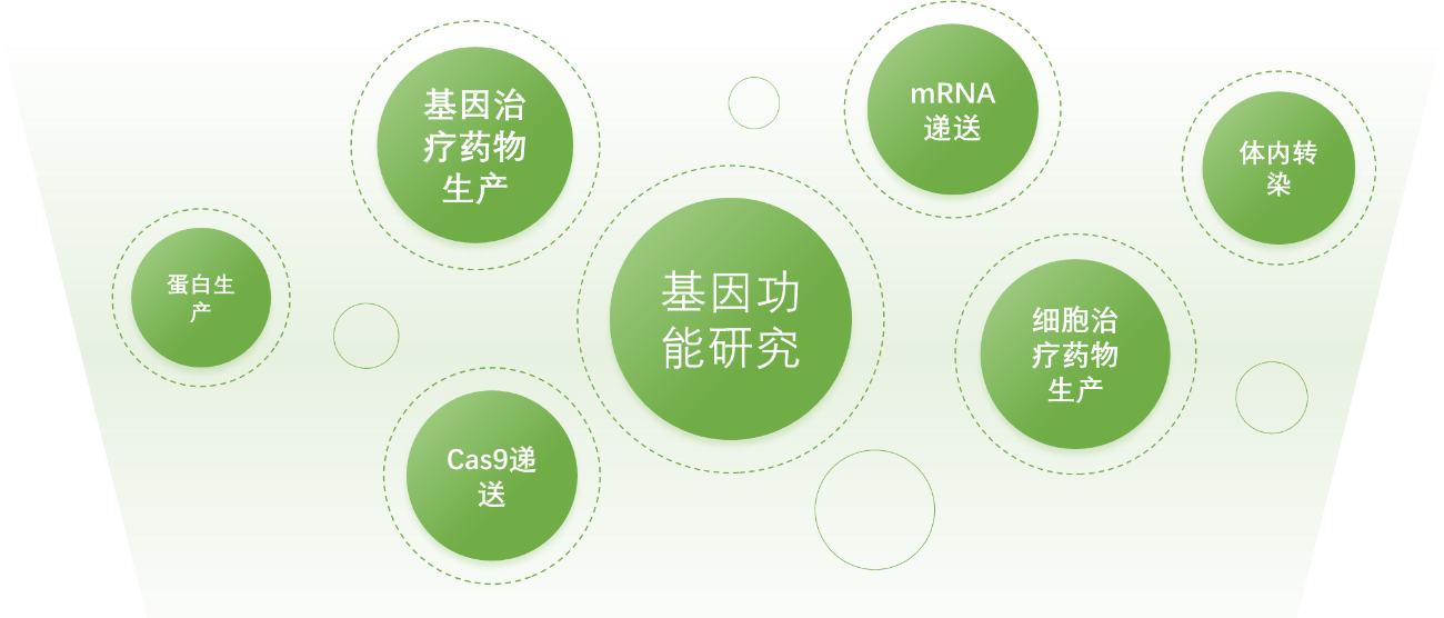 国产转染试剂领军者—翌圣，全方位覆盖研发至GMP生产需求！