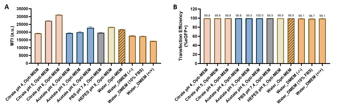 翌圣mRNA转染试剂:专为原代&免疫等难转染细胞系量身定制