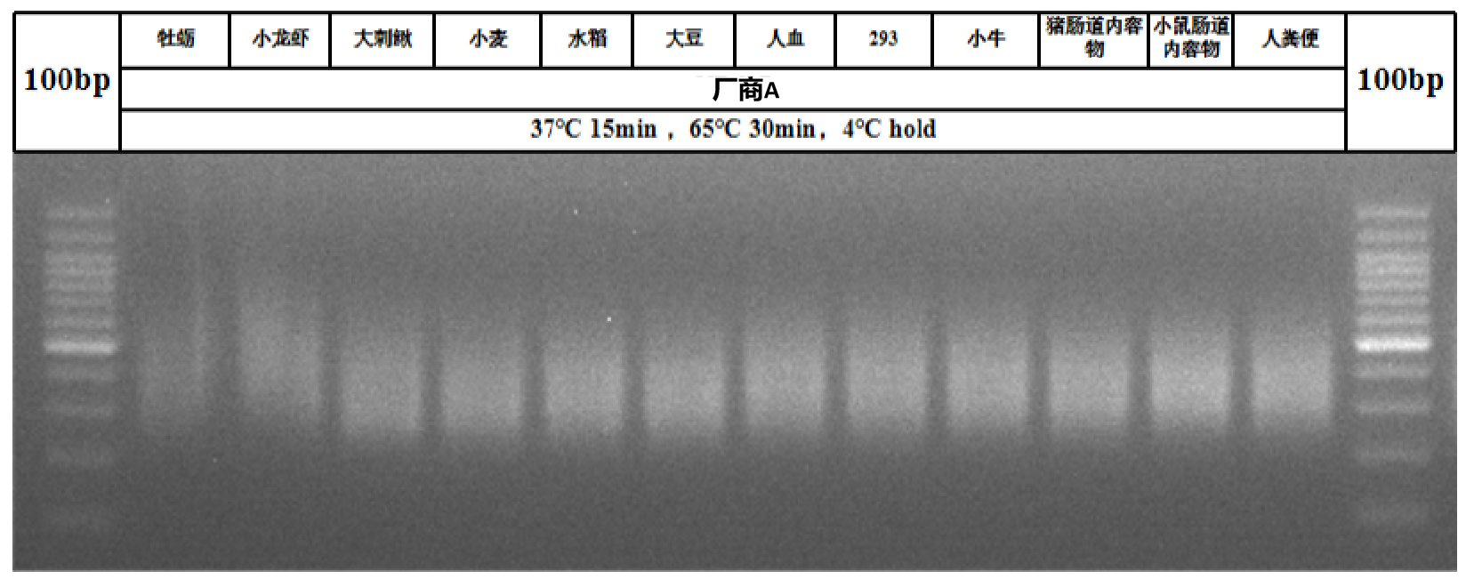 酶切法建库试剂盒全面赋能多领域应用研究