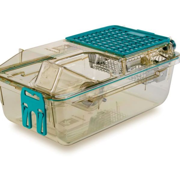 创新瑰宝—— EMERALD IVC 