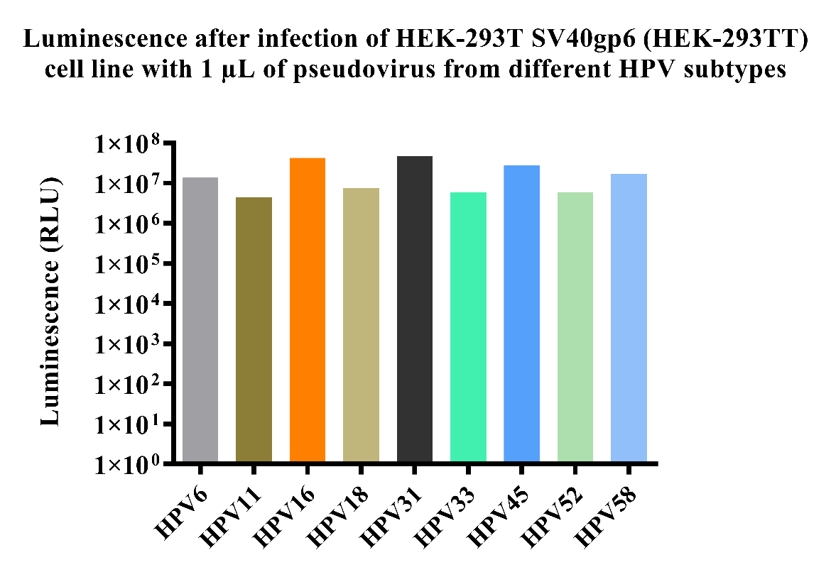 HPV疫苗开发的必备利器