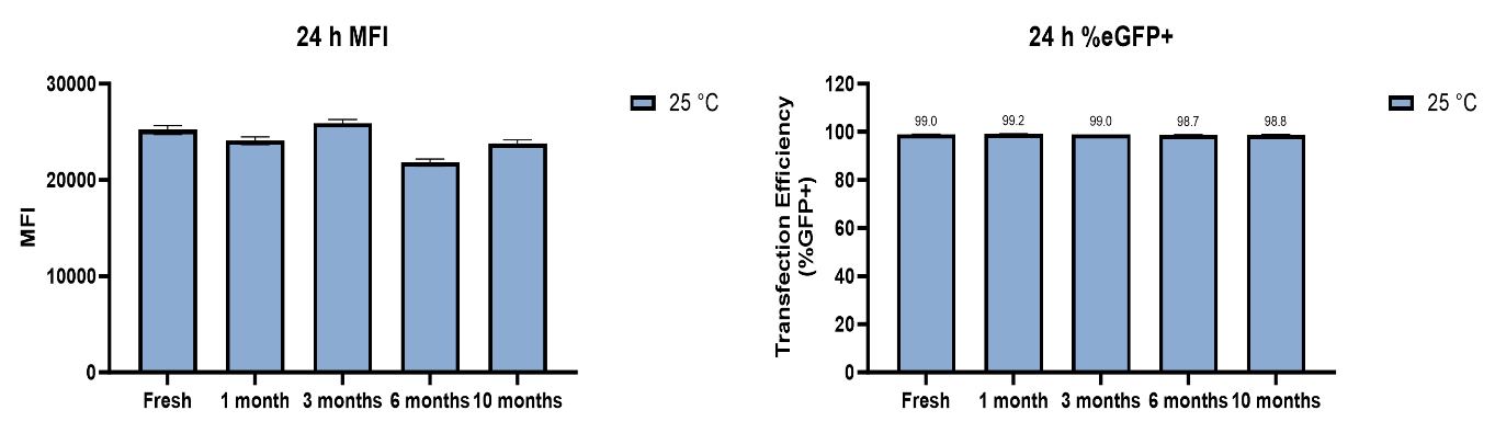 翌圣mRNA转染试剂:专为原代&免疫等难转染细胞系量身定制