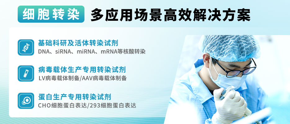 国产转染试剂领军者—翌圣，全方位覆盖研发至GMP生产需求！