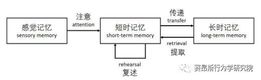 动物行为学实验—Morris水迷宫实验