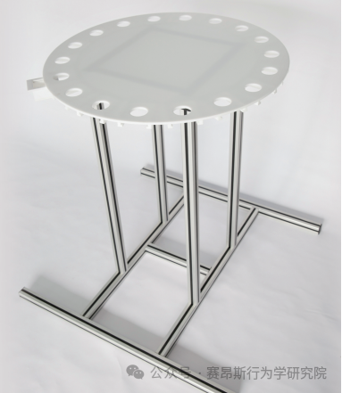 动物行为学实验之巴恩斯（Barnes）迷宫