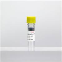 预染色蛋白Marker 10kDa~180kDa