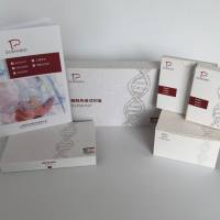 Hepatitis B Virus(HBV)乙型肝炎病毒F型探针法荧光定量PCR试剂盒