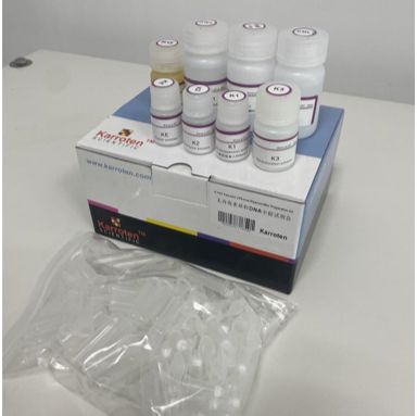 无内毒素质粒DNA小提试剂盒（离心柱型）