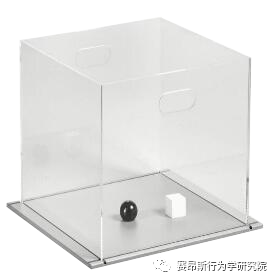 动物行为学实验之新物体识别