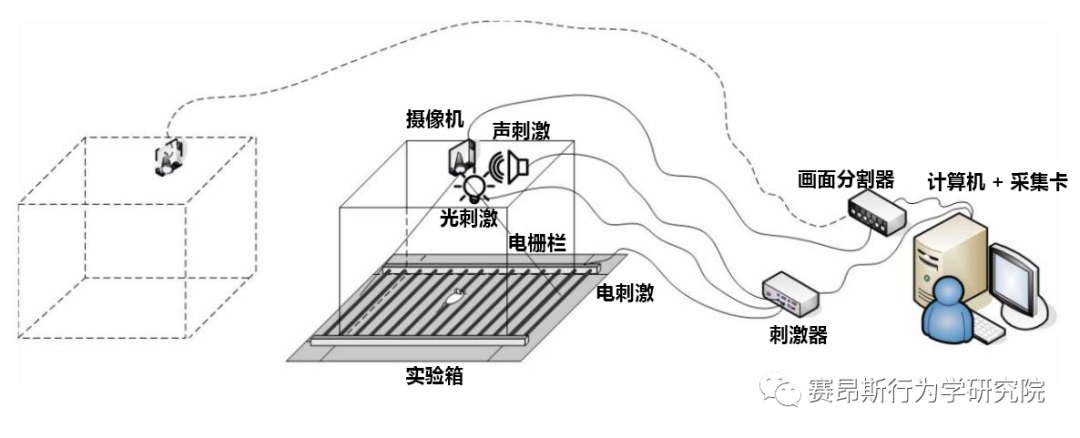 动物行为学实验之场景恐惧实验