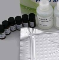 禽白血病病毒p27抗原夹心ELISA检测试剂盒