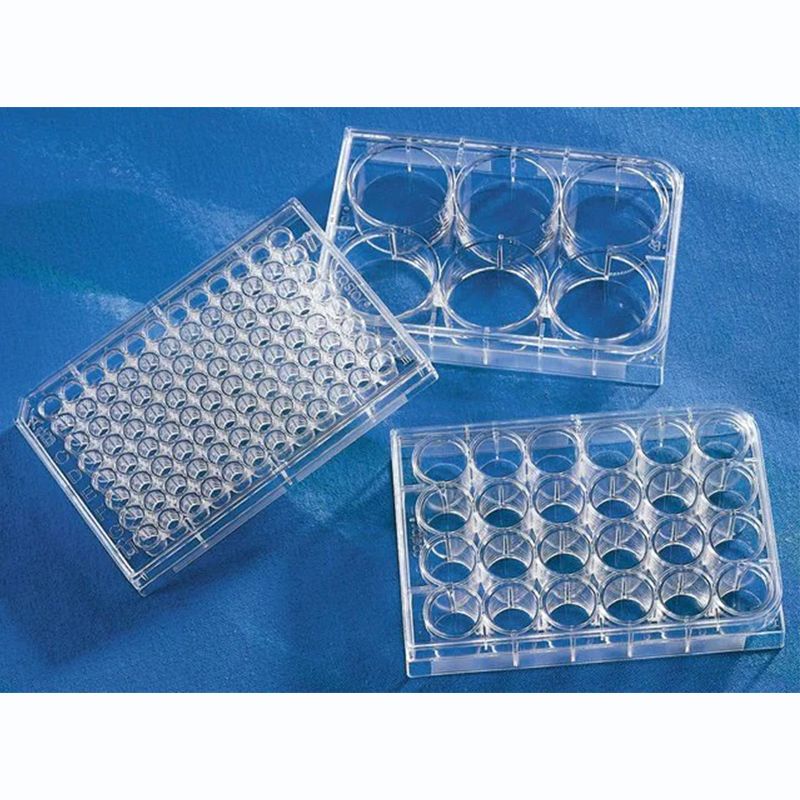 24孔细胞培养板，超低吸附，3473