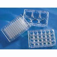 24孔细胞培养板,超低吸附,3473