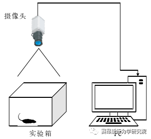 动物行为学实验之旷场实验