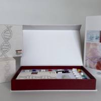 Hepatitis B Virus(HBV)乙型肝炎病毒A型探针法荧光定量PCR试剂盒