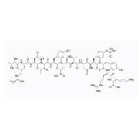 134177-41-6| Insulin receptor (1142-1153） |  pTyr1150| 用作胰岛素受体酪氨酸激酶底物的肽 | TRDIYETD-{pTyr}-YRK