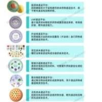 纳米药物载体构建定制服务-脂质体载药，仿生纳米粒载药，聚合物自组装载药，智能水凝胶载药，无机纳米粒载药，LNP载药以及外泌体载药