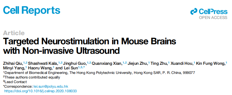 【新品发布】超声遗传学病毒——香港理工大学生物医学工程学院孙雷教授单独授权