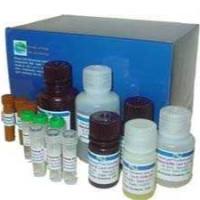 小鼠IgM类单抗(仅腹水中)纯化试剂盒