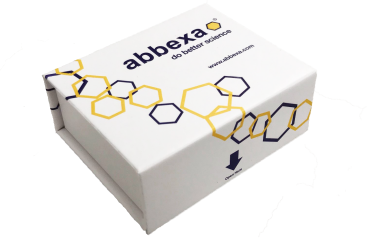 狂犬病病毒核蛋白(RABV N)抗体(生物素)-促销优惠大放送！