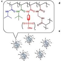 γ-聚谷氨酸（PGA）-g-胆甾醇（CHOL）的自主装胶束包载大 麻 二 酚(CBD)